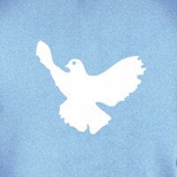 Kapuzenpullover „Friedenstaube“